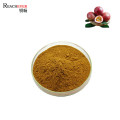 Natural Plant Passionflower P. E. Passiflora Incarnata L. Extract Powder Tranquilizer API Ingredients